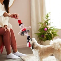 Frisco Ballerina Plush with Rope Squeaky Dog Toy -FRISCO Sales 287125 PT3. SY630 V1632775070
