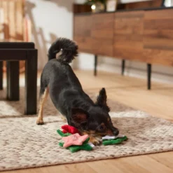 Frisco Flowers Plush Squeaky Dog Toy, 3 count -FRISCO Sales 287161 PT3. SY630 V1632773103