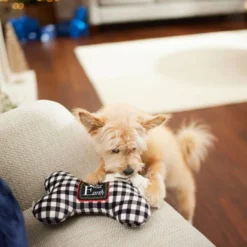 Frisco Holiday "All Is Bright" Reversible Bone Plush Squeaky Dog Toy -FRISCO Sales 287191 PT3. SY630 V1632773193