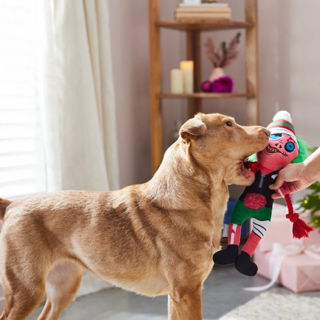 Frisco Zombie Plush with Rope Squeaky Dog Toy 5 Frisco Zombie Plush with Rope Squeaky Dog Toy - Image 3