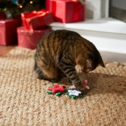 Frisco Flowers Plush Cat Toy with Catnip, 3 count 7 Frisco Flowers Plush Cat Toy with Catnip, 3 count -FRISCO Sales 287331 PT3. SY630 V1632775898