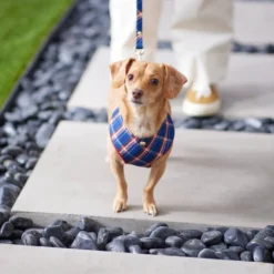 Frisco Fashion Over-The-Head Harness, Blue Plaid -FRISCO Sales 287470 PT8. SY630 V1632316703