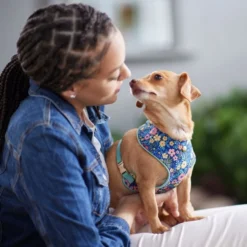 Frisco Fashion Over-The-Head Harness, Tropical Floral -FRISCO Sales 287471 PT8. SY630 V1632316061