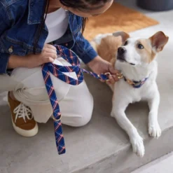 Frisco Fashion Leash, Brown Plaid -FRISCO Sales 287491 PT8. SY630 V1632317010