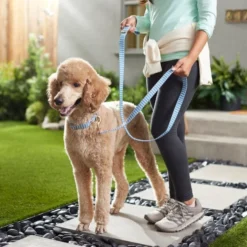 Frisco Fashion Leash, Striped -FRISCO Sales 287495 PT8. SY630 V1632316707