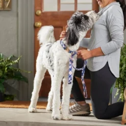 Frisco Fashion Leash, Pink Plaid -FRISCO Sales 287499 PT8. SY630 V1632316895