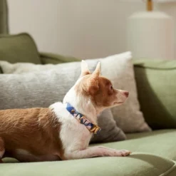 Frisco Fashion Collar, Pink Plaid -FRISCO Sales 287510 PT8. SY630 V1632316374