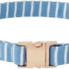 Frisco Fashion Collar, Striped 2 Frisco Fashion Collar, Striped -FRISCO Sales 287511 MAIN. SY630 V1632316934