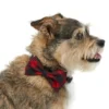 Frisco Removeable Fashion Collar Bow, Buffalo Plaid 1 Frisco Removeable Fashion Collar Bow, Buffalo Plaid -FRISCO Sales 287530 MAIN. SY630 V1632279095