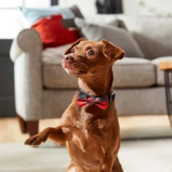 Frisco Removeable Fashion Collar Bow, Buffalo Plaid 11 Frisco Removeable Fashion Collar Bow, Buffalo Plaid -FRISCO Sales 287530 PT8. SY630 V1632316295