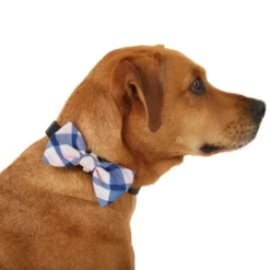 Frisco Fashion Bow, Pink Plaid