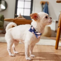 Frisco Fashion Bow, Pink Plaid -FRISCO Sales 287531 PT8. SY630 V1632315820