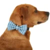 Frisco Fashion Bow, Striped -FRISCO Sales 287532 MAIN. SY630 V1632279166