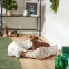 Frisco Holiberry Dog & Cat Bed & Gift Set 2 Frisco Holiberry Dog & Cat Bed & Gift Set -FRISCO Sales 287879 MAIN. SY630 V1631668891
