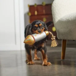 Frisco Firework Plush with Rope Squeaky Dog Toy 7 Frisco Firework Plush with Rope Squeaky Dog Toy -FRISCO Sales 288480 PT3. SY630 V1638291301