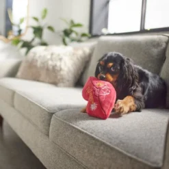 Frisco New Year's Eve Midnight Kiss Plush Squeaky Dog Toy -FRISCO Sales 288482 PT3. SY630 V1638291887