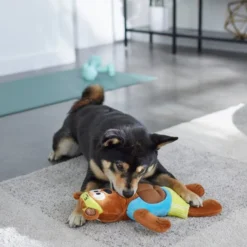 Frisco Fitness Bear Reversible Plush Squeaky Dog Toy -FRISCO Sales 288897 PT3. SY630 V1638291713