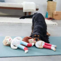 Frisco Dance Girls Plush Squeaky Dog Toy, 2 count 7 Frisco Dance Girls Plush Squeaky Dog Toy, 2 count -FRISCO Sales 288899 PT3. SY630 V1638288432