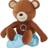 Frisco Yoga Bear Plush Squeaky Dog Toy