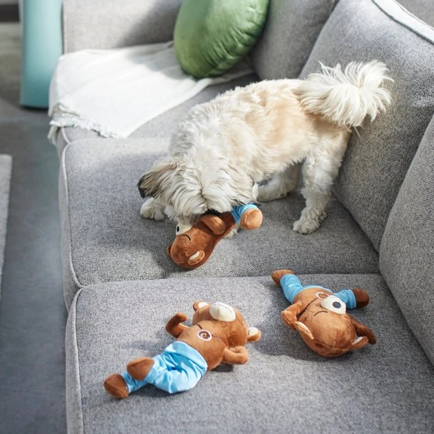 Frisco Yoga Bear Plush Squeaky Dog Toy, 3 count 5 Frisco Yoga Bear Plush Squeaky Dog Toy, 3 count - Image 3