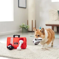 Frisco Gym Bag Hide & Seek Puzzle Plush Squeaky Dog Toy -FRISCO Sales 288913 PT3. SY630 V1638289728