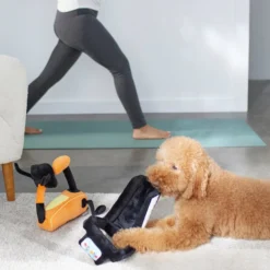 Frisco Treadmill & Bike Plush Squeaky Dog Toy, 2 count -FRISCO Sales 288921 PT3. SY630 V1638290517