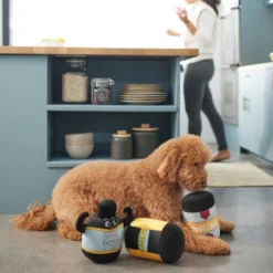 Frisco Protein Powder Plush Squeaky Dog Toy, 3 count -FRISCO Sales 288925 PT3. SY630 V1638289658