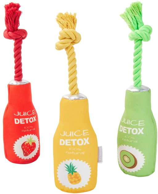 Frisco Juice Cleanse Plush Squeaky Dog Toy, 3 count 3 Frisco Juice Cleanse Plush Squeaky Dog Toy, 3 count