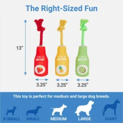 Frisco Juice Cleanse Plush Squeaky Dog Toy, 3 count 6 Frisco Juice Cleanse Plush Squeaky Dog Toy, 3 count -FRISCO Sales 288929 PT1. SY630 V1640722486