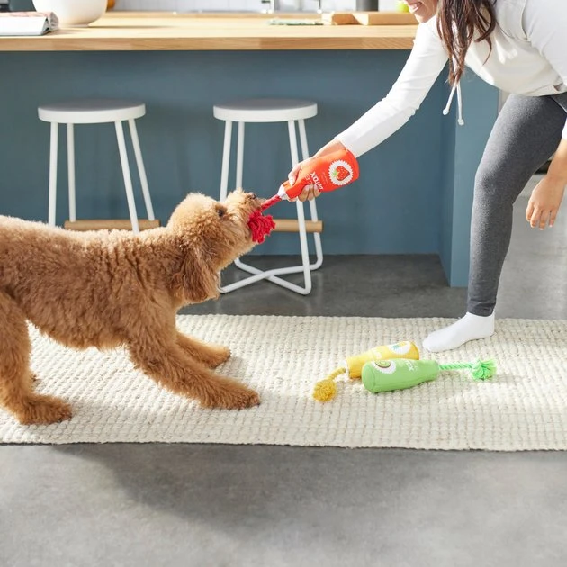 Frisco Juice Cleanse Plush Squeaky Dog Toy, 3 count 5 Frisco Juice Cleanse Plush Squeaky Dog Toy, 3 count - Image 3