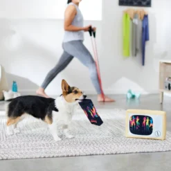 Frisco TV & VHS Tape Plush Squeaky Dog Toy, 2 count 7 Frisco TV & VHS Tape Plush Squeaky Dog Toy, 2 count -FRISCO Sales 288935 PT3. SY630 V1638291435