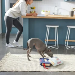 Frisco Cookbooks Plush Squeaky Dog Toy, 2 count -FRISCO Sales 288937 PT3. SY630 V1638287852