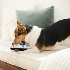 Frisco Cell Phone Plush Squeaky Dog Toy -FRISCO Sales 288939 PT3. SY630 V1638292274