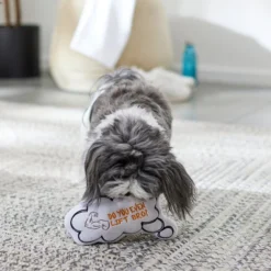 Frisco Message Bubble Plush Squeaky Dog Toy -FRISCO Sales 288941 PT3. SY630 V1638289328