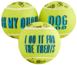 Frisco Motivational Tennis Balls Plush Squeaky Dog Toy, 3 count