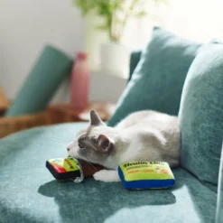 Frisco Protein Bar & Gym Membership Plush Cat Toy with Catnip -FRISCO Sales 288951 PT3. SY630 V1638290814