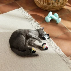 Frisco Pre-Workout & Protein Plush Cat Toy with Catnip, 3 count -FRISCO Sales 288953 PT3. SY630 V1638287817