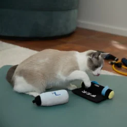 Frisco Yoga Mat & Water Bottle Plush Cat Toy with Catnip, 2 count -FRISCO Sales 288955 PT3. SY630 V1638289648