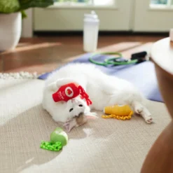 Frisco Juice Cleanse Plush Cat Toy with Catnip, 3 count -FRISCO Sales 288957 PT3. SY630 V1638292099