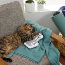 Frisco Scale & Message Bubble Plush Cat Toy with Catnip, 2 count -FRISCO Sales 288959 PT3. SY630 V1638288401