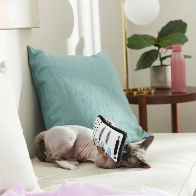 Frisco Cell Phone Plush Cat Toy with Catnip 5 Frisco Cell Phone Plush Cat Toy with Catnip - Image 3