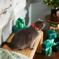 Frisco Holiday Hombre Cat Collar With Bow, Red, 8 - 12 inches, 3/8-in wide -FRISCO Sales 289696 PT8. SY630 V1632189993