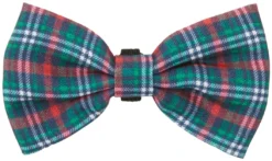 Frisco Festive Plaid Dog Collar with Removeable Plaid Bow -FRISCO Sales 289725 PT3. SY630 V1632186519