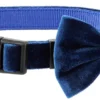 Frisco Velvet Dog Collar With Removeable Velvet Bow -FRISCO Sales 289734 MAIN. SY630 V1632185202