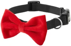 Frisco Removeable Velvet Collar Bow -FRISCO Sales 289810 PT5. SY630 V1632186369