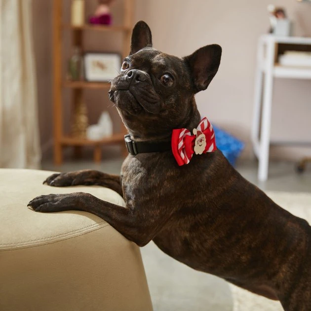 Frisco Removeable Santa & Stripes Collar Bow, XS/SM 7 Frisco Removeable Santa & Stripes Collar Bow, XS/SM - Image 5