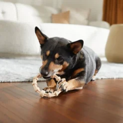 Frisco Nylon Ring Dog Chew Toy, Chicken Flavor, Medium -FRISCO Sales 290533 PT3. SY630 V1635369395