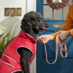 Frisco Fantastic Foxes Dog Leash 9 Frisco Fantastic Foxes Dog Leash -FRISCO Sales 291242 PT3. SY630 V1629487758