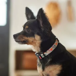 Frisco Mountain Leaves Dog Collar 10 Frisco Mountain Leaves Dog Collar -FRISCO Sales 291244 PT3. SY630 V1629488588