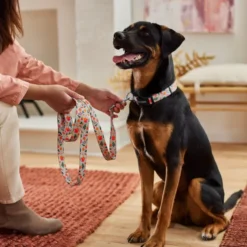 Frisco Mountain Leaves Dog Leash -FRISCO Sales 291251 PT3. SY630 V1629488355